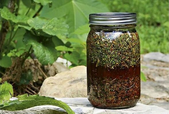 infuso di erbe contro i parassiti